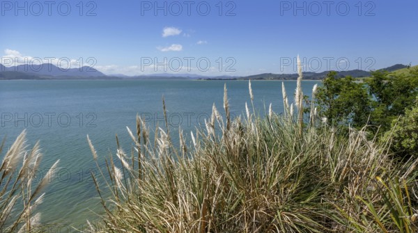 Coastal scenery around Opononi in New Zealand
