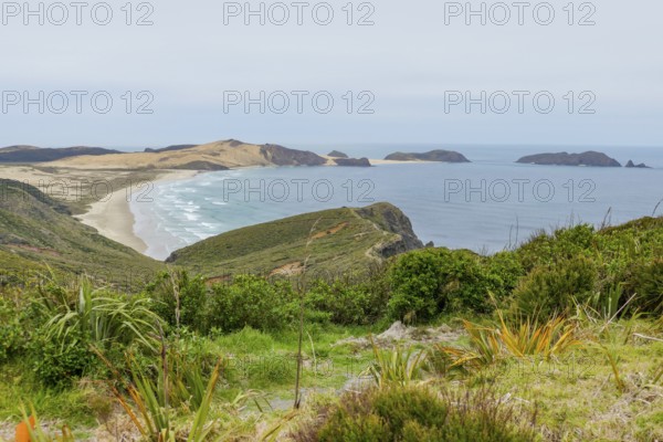 Coastal scenery around Cape Reinga at the North Island in New Zealand