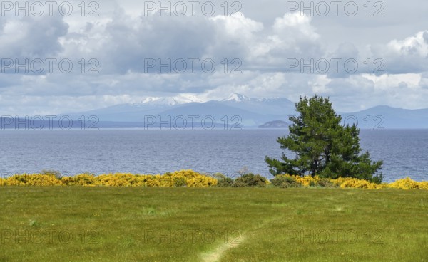 Sunny scenery at Lake Taupo on the North Island of New Zealand