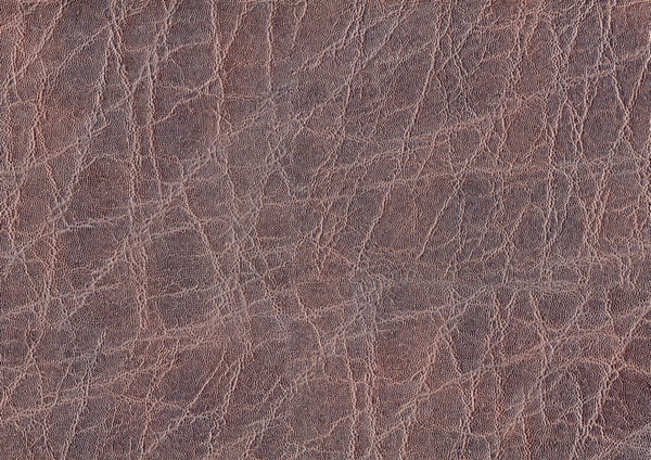 A full frame abstract brown leather background