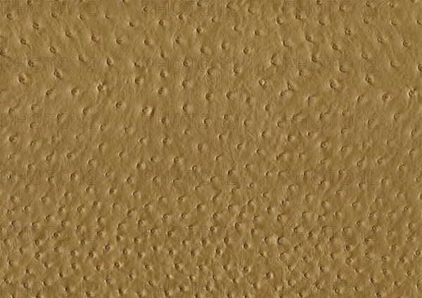 Full frame abstract brown ostrich leather surface