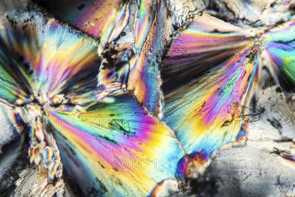 Microscopic shot showing micro crystals of a zinc preparation illuminated with polarized light