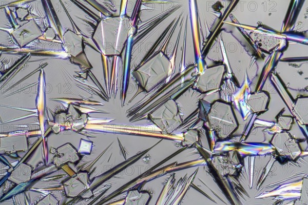 Macro shot of growing microcrystals of soda lye in polarized light