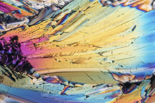 Colorful micro crystals of liqueur in polarized light