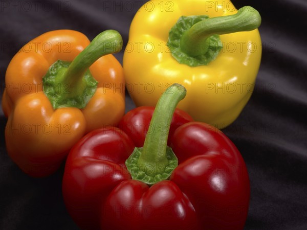 Fresh red, orange and yellow bell peppers in dark back