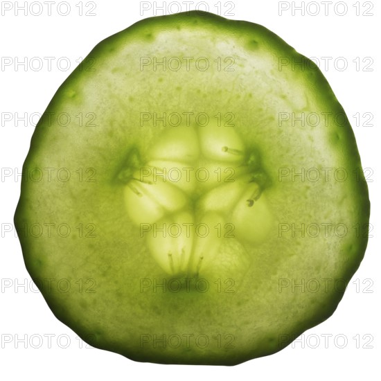 Sliced fresh green gherkin in white back