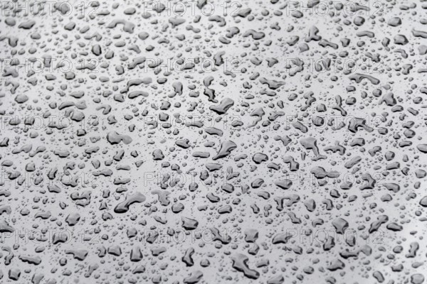 Abstract natural background showing a closeup of water beads on glossy repellent ground