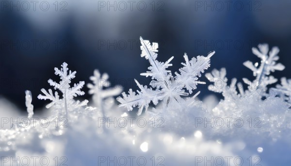 AI generated closeup image showing snow crystals in sunny ambiance