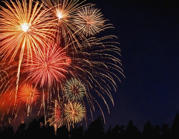 AI generated image showing a great fireworks display and treetop silhouettes in dark back