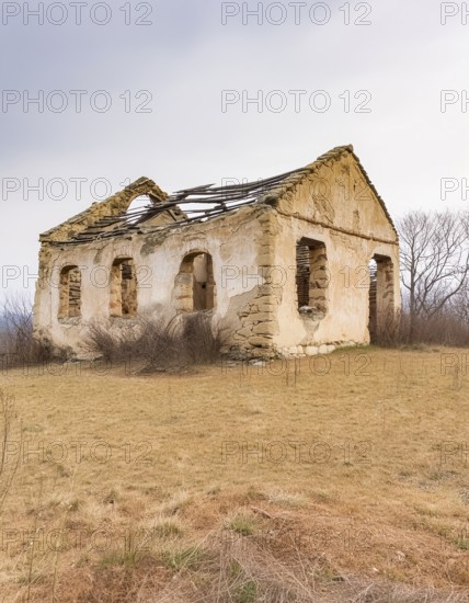 AI generated image of an old house ruin in natural ambiance