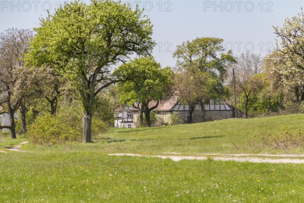 Idyllic rural scenery showing a farmstead behind some trees at spring time in Southern Germany
