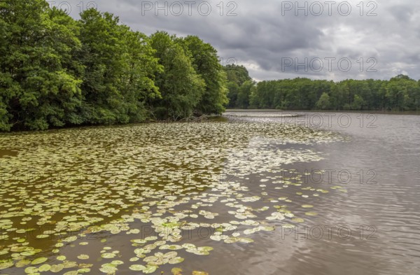 Riparian scenery in Wiesenfelden at the Bavarian Forest in southern Germany