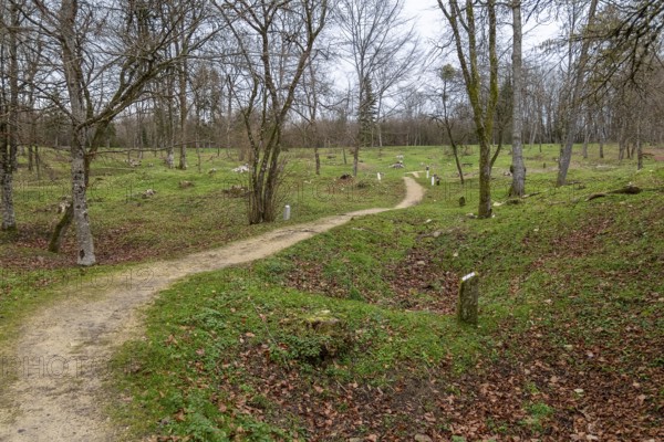 Scenery around Fleury-devant-Douaumont, a commune in the Meuse department in Grand Est in north-eastern France. During the Battle of Verdun in 1916 it was captured and recaptured by the Germans and French 16 times, now it is completely destroyed
