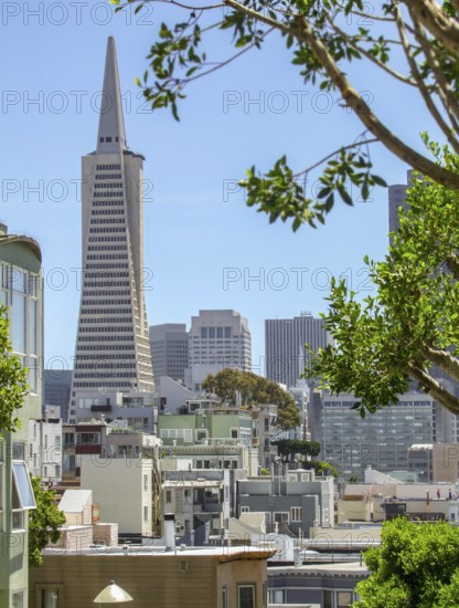 City view of San Francisco, a city in California, USA