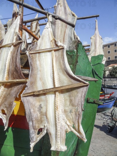 Sunny outdoor scenery showing some dried fish in Madeira