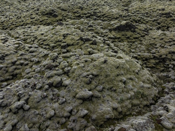 Lava, mosses, volcanic landscape, cloudy, summer, aerial view, Eldhraun, Kirkjubaerklaustur, Iceland
