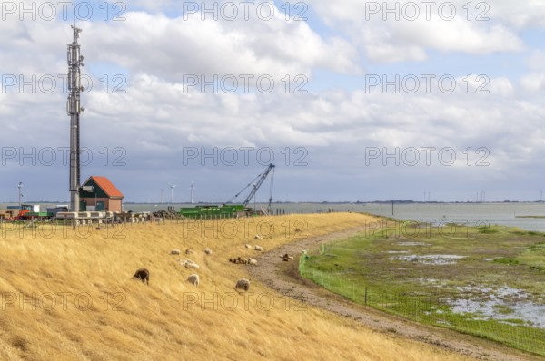 Coastal impression of Spiekeroog, one of the East Frisian Islands at the North Sea coast of Germany