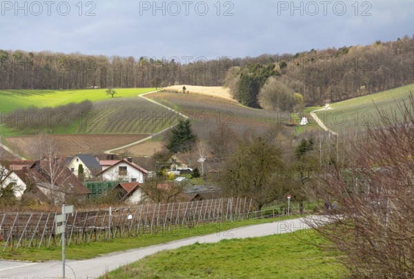 Idyllic rural scenery around Bretzfeld in Hohenlohe at early spring time