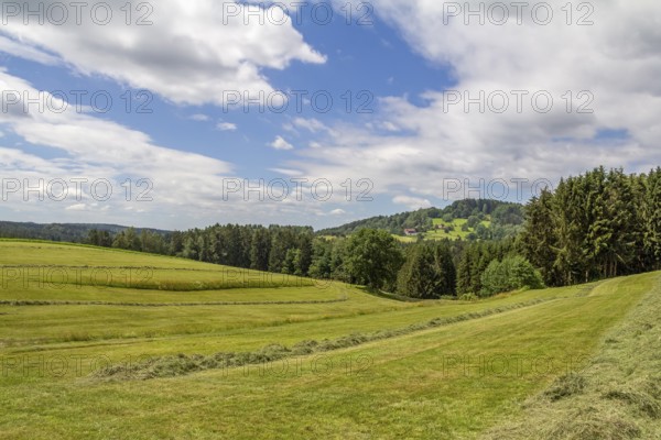 Scenery around Wiesenfelden in the Bavarian Forest at summer time