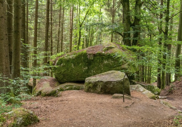 Impression at the idyllic nature reserve named Hoelle in the Bavarian Forestin Southern Germany at summer time