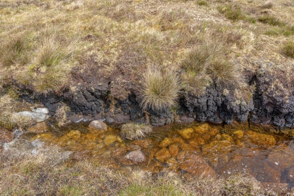 Wetland detail seen around Connemara, a region in western Ireland