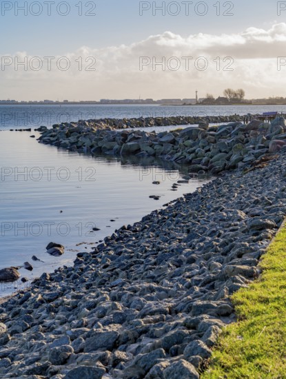 Scenery around Maasholm, a municipality in Schleswig-Holstein, Northern Germany