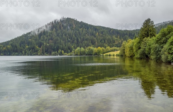 Waterside scenery around Gerardmer in France, a commune in the Vosges department in Grand Est in northeastern France