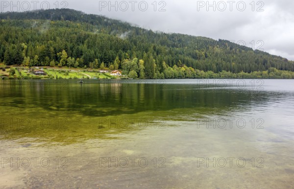 Waterside scenery around Gerardmer in France, a commune in the Vosges department in Grand Est in northeastern France