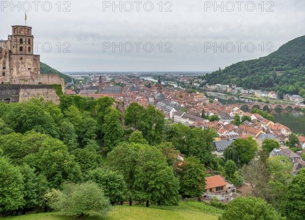 Aerial view of Heidelberg in Germany at summer time