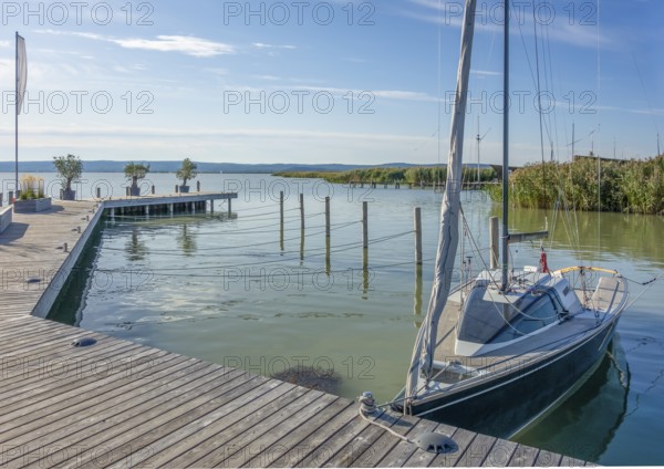 Sunny waterside scenery around Neusiedl am See in Austria