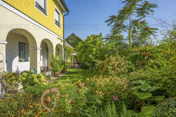 Sunny garden scenery in Podersdorf am See in Burgenland in Austria