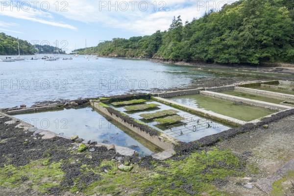 Coastal scenery at the Belon River in Brittany, France