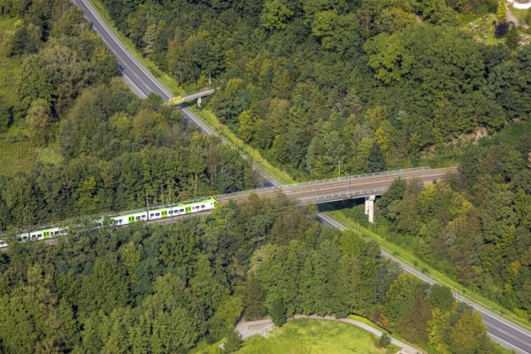 Aerial view, suburban railway crossing a bridge and adjacent pedestrian bridge over the Eichholzstraße L527n in the district of Berge in Gevelsberg, Ruhr area, North Rhine-Westphalia, Germany, railway tracks, bridge, DE, Europe, pedestrian bridge, Gevelsberg, Landesstraße L527n, aerial view, aerial photography, aerial photography, overview, bird's-eye view, overview