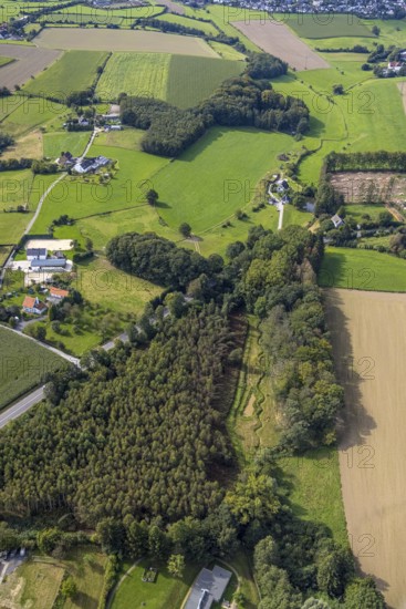 Aerial view, Krabbenheider Bach in the forest in the district Asbeck in Gevelsberg, Ruhr area, North Rhine-Westphalia, Germany, brook, DE, Europe, Gevelsberg, aerial view, aerial photography, aerial photography, overview, bird's eye view, birds-eyes view, overview