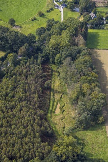 Aerial view, Krabbenheider Bach in the forest in the district Asbeck in Gevelsberg, Ruhr area, North Rhine-Westphalia, Germany, brook, DE, Europe, Gevelsberg, aerial view, aerial photography, aerial photography, overview, bird's eye view, birds-eyes view, overview