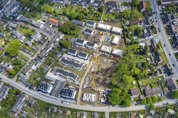 Aerial view, construction site and new development area Alter Sportplatz, Rosenhügel, Brauck, Gladbeck, Ruhr area, North Rhine-Westphalia, Germany, construction work, construction, construction area, building site, building plots, construction crane, construction project, construction site, DE, Europe, aerial view, aerial photography, aerial photography, new construction, overview, bird's-eye view, overview
