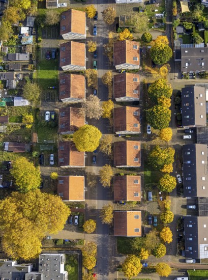 Aerial view, terraced houses on Uhlandstraße in Gladbeck, Ruhr area, North Rhine-Westphalia, Germany, DE, Europe, Gladbeck, property tax, real estate, aerial view, aerial photography, aerial photography, overview, bird's-eye view, residential complex, living and living, residential area, residential buildings, quality of living, residential neighbourhood, housing estate, birds-eyes view, overview