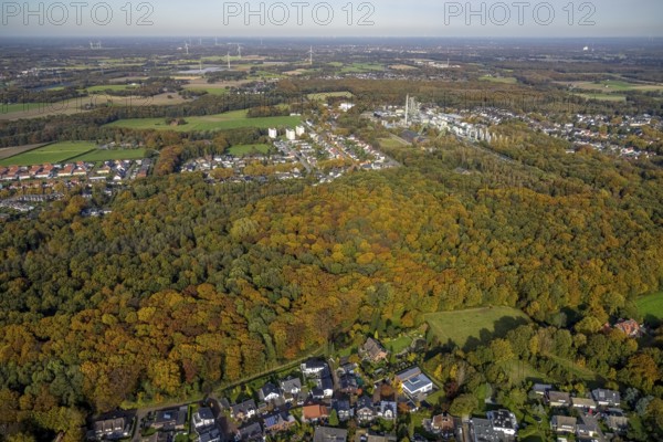Aerial view, forest area in autumn colours and Ineos Phenol chemical plant in the district Rentfort in Gladbeck, Ruhr area, North Rhine-Westphalia, Germany, DE, Europe, Gladbeck, aerial view, aerial photography, aerial photography, overview, bird's eye view, forest area, birds-eyes view, overview