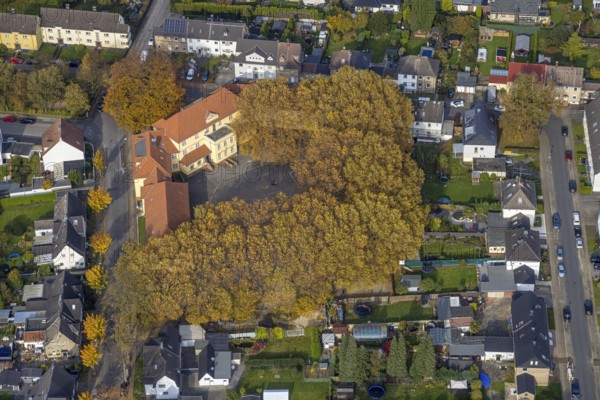 Aerial photo, Pestalozzi School and autumn-coloured trees in the district of Zweckel in Gladbeck, Ruhr area, North Rhine-Westphalia, Germany, education, educational institution, DE, Europe, Gladbeck, primary school, autumn colours, autumn forest colours, educational institute, aerial photo, aerial photography, aerial photography, school, overview, bird's eye view, birds-eyes view, overview