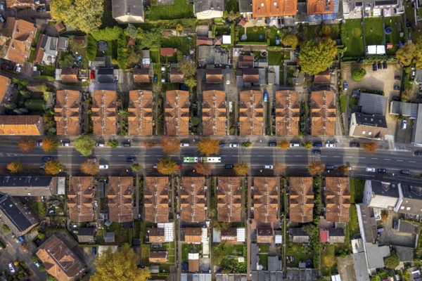 Aerial view, workers' housing estate and miners' housing estate Kirchhellener Straße in the district Rentfort in Gladbeck, Ruhr area, North Rhine-Westphalia, Germany, DE, Europe, Gladbeck, property tax, real estate, aerial view, aerial photography, aerial photography, overview, bird's eye view, housing estate, housing and living, residential area, residential buildings, housing quality, residential neighbourhood, housing estate, colliery housing estate, birds-eyes view, overview