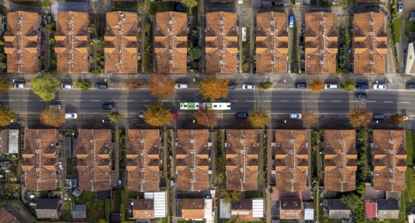 Aerial view, workers' housing estate and miners' housing estate Kirchhellener Straße in the district Rentfort in Gladbeck, Ruhr area, North Rhine-Westphalia, Germany, DE, Europe, Gladbeck, property tax, real estate, aerial view, aerial photography, aerial photography, overview, bird's eye view, housing estate, housing and living, residential area, residential buildings, housing quality, residential neighbourhood, housing estate, colliery housing estate, birds-eyes view, overview