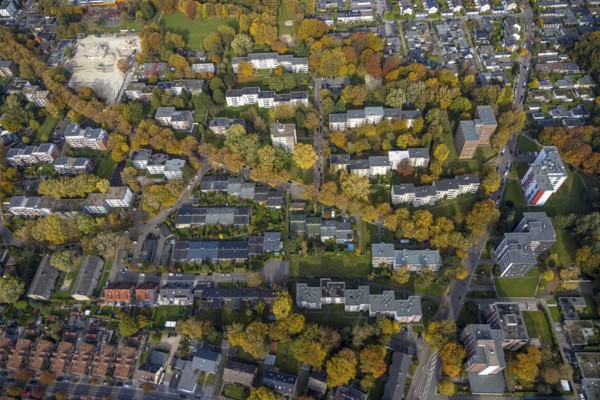 Aerial view, high-rise residential estate Schwechater Straße in the district Rentfort in Gladbeck, Ruhr area, North Rhine-Westphalia, Germany, DE, Europe, Gladbeck, property tax, real estate, aerial view, aerial photography, aerial photography, overview, bird's-eye view, residential complex, living and living, residential area, residential buildings, residential quality, residential neighbourhood, housing estate, birds-eyes view, overview
