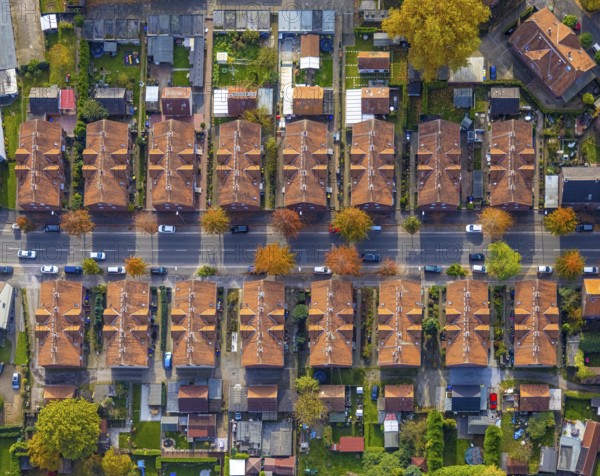 Aerial view, workers' housing estate and miners' housing estate Kirchhellener Straße in the district Rentfort in Gladbeck, Ruhr area, North Rhine-Westphalia, Germany, DE, Europe, Gladbeck, property tax, real estate, aerial view, aerial photography, aerial photography, overview, bird's eye view, housing estate, housing and living, residential area, residential buildings, housing quality, residential neighbourhood, housing estate, colliery housing estate, birds-eyes view, overview
