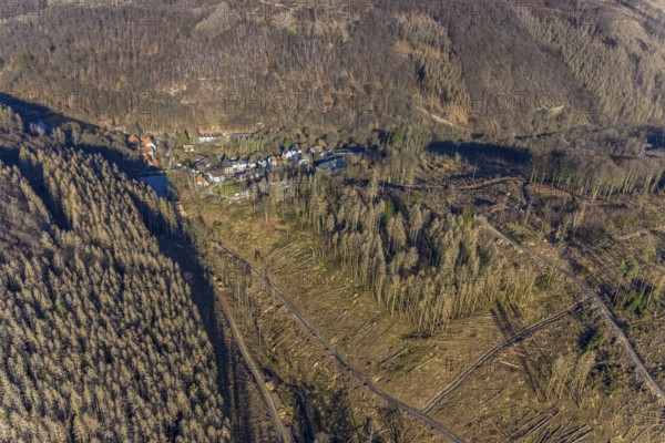 Aerial photograph, forest dieback at the LWL Open-Air Museum Hagen, Eilpe, Hagen, Ruhr area, North Rhine-Westphalia, Germany, DE, Europe, open-air museum, aerial photograph, aerial photography, aerial photography, museum, Mäckingerbach, overview, bird's-eye view, forest, forest area, forest damage, forest dieback, birds-eyes view, overview
