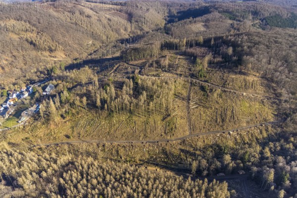 Aerial photograph, forest dieback at the LWL Open-Air Museum Hagen, Eilpe, Hagen, Ruhr area, North Rhine-Westphalia, Germany, DE, Europe, open-air museum, aerial photograph, aerial photography, aerial photography, museum, Mäckingerbach, overview, bird's-eye view, forest, forest area, forest damage, forest dieback, birds-eyes view, overview