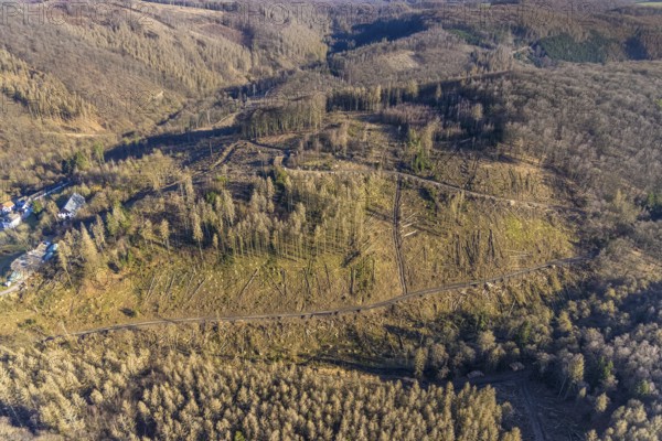 Aerial photograph, forest dieback at the LWL Open-Air Museum Hagen, Eilpe, Hagen, Ruhr area, North Rhine-Westphalia, Germany, DE, Europe, open-air museum, aerial photograph, aerial photography, aerial photography, museum, Mäckingerbach, overview, bird's-eye view, forest, forest area, forest damage, forest dieback, birds-eyes view, overview