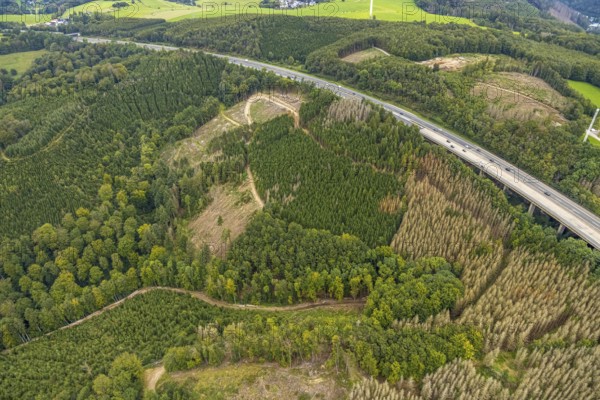 Aerial photograph, forest damage on the A45 motorway in the Dahl district of Hagen, Ruhr area, North Rhine-Westphalia, Germany, tree death, bark beetle damage, bark beetle plague, DE, Europe, Hagen, clear-cutting, aerial photograph, aerial photography, aerial photography, overview, bird's-eye view, forest damage, forest damage, forest dieback, birds-eyes view, overview