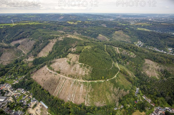 Aerial view, forest damage at Schleipenberg in the district Hohenlimburg in Hagen, Ruhr area, North Rhine-Westphalia, Germany, tree dieback, bark beetle damage, bark beetle plague, DE, Europe, Hagen, aerial view, aerial photography, aerial photography, overview, bird's-eye view, forest damage, forest dieback, birds-eyes view, overview