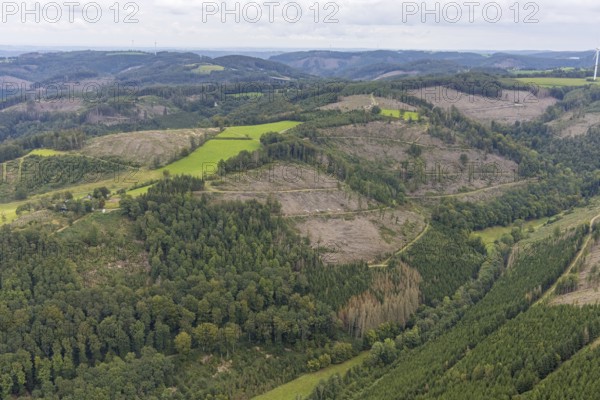 Aerial photograph, forest area with forest damage in the Rummenohl district of Hagen, Ruhr area, North Rhine-Westphalia, Germany, tree death, bark beetle damage, bark beetle plague, DE, Europe, Hagen, clear-cutting, aerial photograph, aerial photography, aerial photography, overview, bird's-eye view, forest, forest damage, forest dieback, birds-eyes view, overview