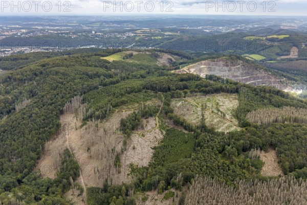 Aerial view, forest damage at Rafflenbeuler Kopf at the village Zurstraße in the district Eilpe in Hagen, Ruhr area, North Rhine-Westphalia, Germany, tree dieback, bark beetle damage, bark beetle plague, Breckerfeld, DE, Europe, spruce dieback, Hagen, hilly landscape, clear-cutting, aerial view, aerial photography, aerial photography, overview, bird's eye view, forest, forest area, forest damage, forest dieback, birds-eyes view, overview